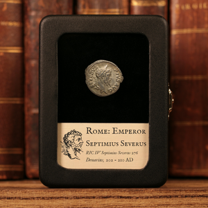 Rome, Septimius Severus, Denarius, Liberalitas (Virtue of Generosity) - 202 to 210 CE - Roman Empire