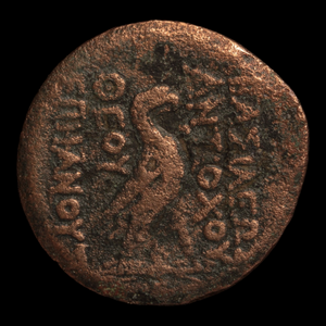 Seleucid Egypt, Antiochus IV, Large Bronze AE35 - 165 – 174 BCE - Seleucid Empire