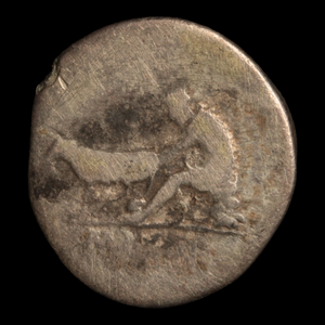 Rome, Emperor Vespasian, Denarius, Man Milking Goat on Reverse - 77 to 78 CE - Roman Empire