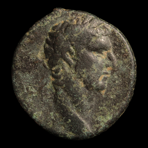 Roman Syria, Emperor Nerva, Large Bronze, "SC" on Reverse - c. 96 to 98 CE - Roman Provinces