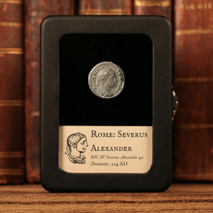 Rome, Emperor Severus Alexander, Denarius, Salus (Goddess of Safety) - 224 CE - Roman Empire