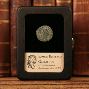 Rome, Emperor Gallienus, Antoninianus, Griffin Reverse - 260 to 268 CE - Roman Empire