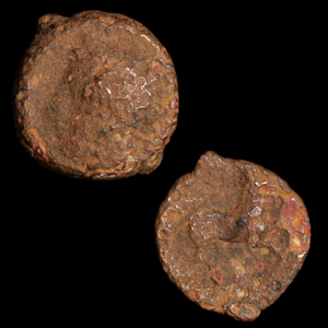 Carthage, Bronze Coin (Bulk Lot of 3) - c. 350 to 250 BCE - Northern Africa - 8/30/23 Auction