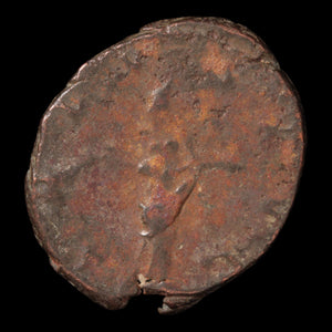 Rome, Emperor Victorinus, Antoninianus (Salus Reverse) - 269 to 271 CE - Gallic Roman Empire