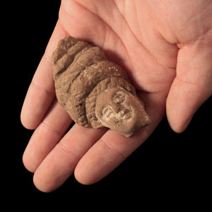 Roman Terracotta Statue Fragment, Woman With Large Braided Hair (1.6 x 2.6 inches) - c. 1st to 2nd century CE - Roman Empire