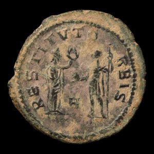 Rome, Emperor Probus, Antoninianus - 276 to 282 CE - Roman Empire