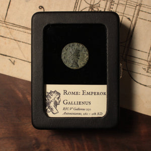 Rome, Emperor Gallienus, Antoninianus, Panther Reverse - 260 to 268 CE - Roman Empire