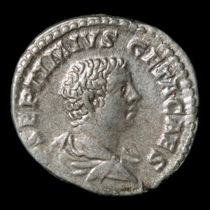 Rome, Emperor Geta, Denarius, Providentia (Deity of Prediction) - 203 to 208 CE - Roman Empire