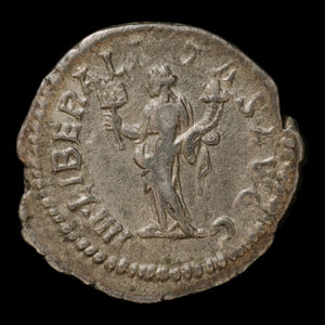 Rome, Septimius Severus, Denarius, Liberalitas (Virtue of Generosity) - 202 to 210 CE - Roman Empire