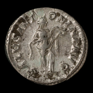 Rome, Emperor Elagabalus, Denarius, Salus (Goddess of Safety) - 218 to 222 CE - Roman Empire