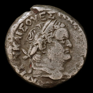 Roman Egypt, Emperor Titus, Tetradrachm, Serapis (Greco-Egyptian God) - 79 to 81 CE - Roman Provinces