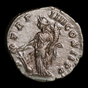 Rome, Septimius Severus, AR Denarius, Fortuna (Goddess of Fortune) - 195 to 196 CE - Roman Empire