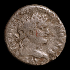 Roman Egypt, Emperor Titus, AR Tetradrachm, Homonoia (Order & Unity) - 79 to 80 CE - Roman Provinces