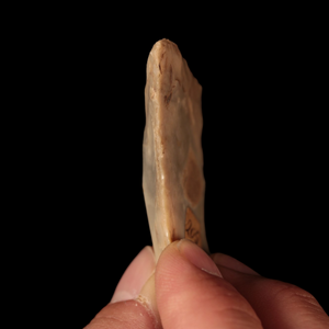 Danish Mesolithic Stone Tool #2 (2.6 inches) - c. 9000 to 5000 BCE - Denmark - 7/12/23 Auction