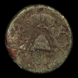 Anonymous Macedonian Bronze Half Unit - 323 to 310 BCE - Macedon/Greece - 12/6/23 Auction