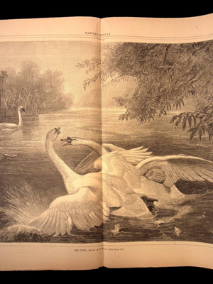 Harper's Weekly — May 8th, 1875