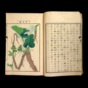 The Six-Part Method of Cultivating Plants and Trees - 1874 - Meiji Era Japan