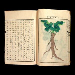 The Six-Part Method of Cultivating Plants and Trees - 1874 - Meiji Era Japan