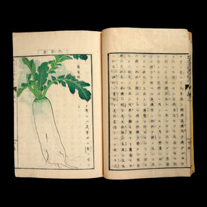 The Six-Part Method of Cultivating Plants and Trees - 1874 - Meiji Era Japan