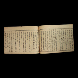 Sukiya-zukuri Style Architectural Templates - 1867 - Edo Japan