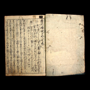 Diary of a Dutiful Daughter, Vol. 2 - Early 1800s - Edo Japan