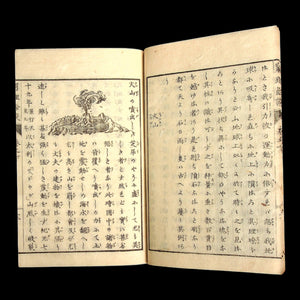 Additional Talks on the Study of Nature (Science Textbook) - Mid-1800s - Edo to Meiji Japan