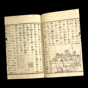 Additional Talks on the Study of Nature (Science Textbook) - Mid-1800s - Edo to Meiji Japan